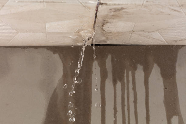 Professional Burst Pipe Cleanup technician working in Metamora, IN